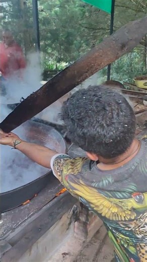"Ayahuasca cooking process" Psychotravels.co Medellín ( guarne )