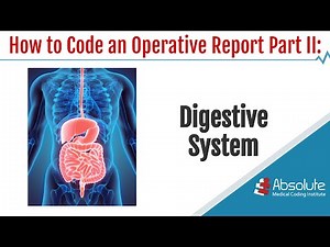 Coding an Operative Report Part II: Digestive System