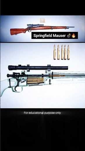 Springfield Mauser Rifle: Legendary Bolt-Action Design Explained