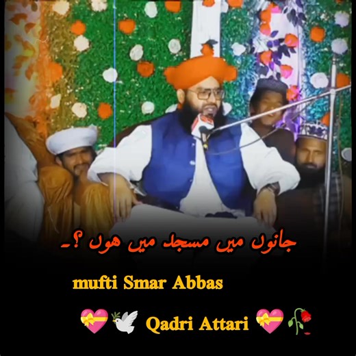 ناصر مدنی کا حیرت انگیز ویڈیو