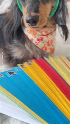 22K views · 221 reactions | The best holiday cards are signed with paw prints  | US Postal Service | Facebook