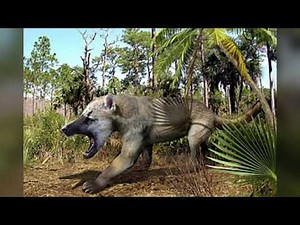 AMPHICYON – The Giant Dog-Bear That Dominated the Ancient World
