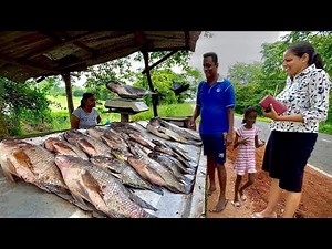 Perfect! Inside Sri Lanka’s Hyper-Modern Fish Markets of the Future!