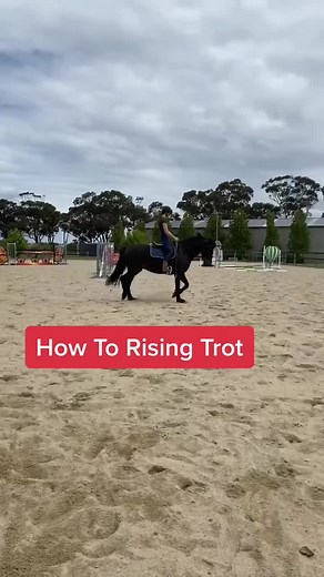 EquestrianUnleashed on TikTok