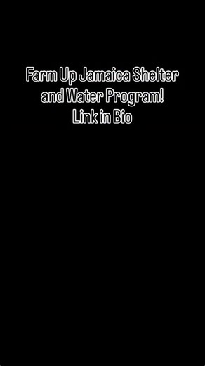 The Story Is that Hurricane Melissa has affected almost everyone across Jamaica. We haven’t even gotten to Ground Zero yet! The Need is Real! Farm Up Jamaica, Shelter and Water Program. Donate Link In Bio! https://www.paypal.com/donate?campaign_id=HC6RVGTJNHW6W | Farm Up Jamaica