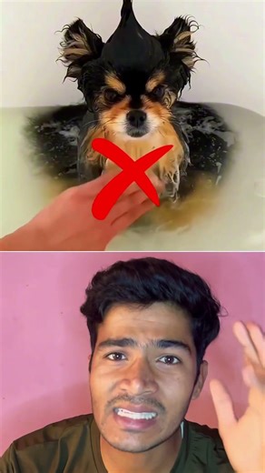 How Astronauts Take Bath in Space | No Gravity Shower! #shorts