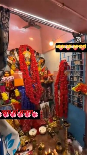 কলকাতা কাঁকুড়গাছি জাগ্রত মা মনসা🌺🙏
