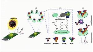 18. An Overview on SARS-CoV-2 (COVID-19) and Other Human Coronaviruses and Their Detection Capability via Amplification Assay, Chemical Sensing, Biosensing, Immunosensing, and Clinical Assays. https://link.springer.com/article/10.1007/s40820-020-00533-y | Nano-Micro Letters