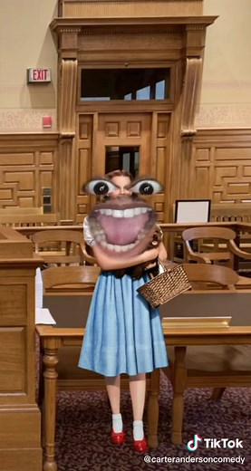The United States Vs Dorothy Gale - Wizard of Oz Trial