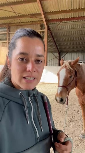 Signaux de peur/stress (voir douleur 🤕 j’ai oublié de le dire sur mon audio). Petits trucs ultra importants à regarder quand on évolue avec les chevaux. 🐴 #ethologie #travailapied #lafemmechaussette #travailàpied #équitationbienveillante | La Femme Chaussette