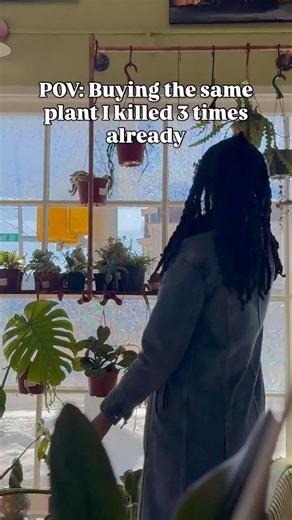 Using the Plant Snap app now so they don’t die for the 4th time #planthumour #houseplant #plantsnap