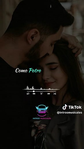 Animal Te Amaré: Música Romántica y Letras