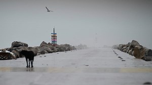 Tropical Storm Alberto weakens over northeast Mexico after heavy rains killed 3
