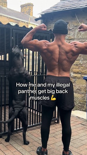 How I and My Illegal Panther Built Big Back Muscles