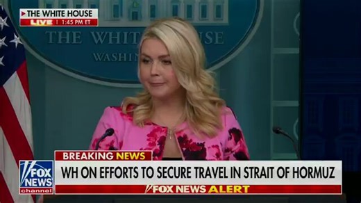 REPORTER: Why is the president threatening a war crime?LEAVITT: [Iran’s] best move is to make a deal, or elseREPORTER: Which of those objectives would destroying a desalination plant most help?LEAVITT: NEXT QUESTION wow.