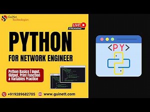 Python Basics | Input, Output, Print Function & Variables Practice