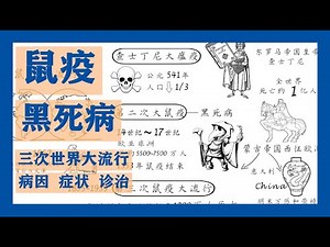 ALL About Plague, The Black Death，Three World Pandemic Plague, 有关鼠疫的一切，三次世界大流行，会卷土重来吗？