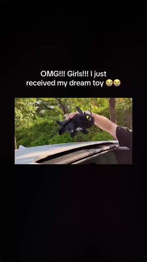 Toothless plush brings the magic wherever you go! 🐉 #MagicEverywhere #ToothlessInCar #PlushDecor #CarAdventure #FantasyDrive