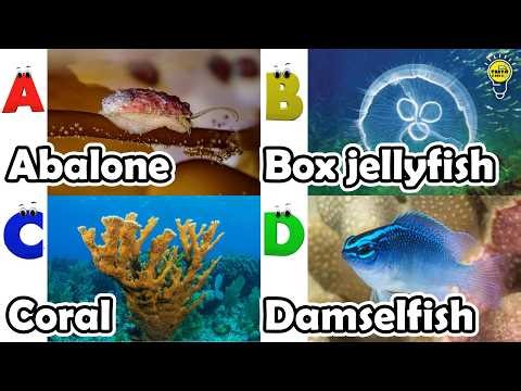 ABC phonics animals | ABC Sea Animals song | English and Animals for Kids | Alphabets Kids Song