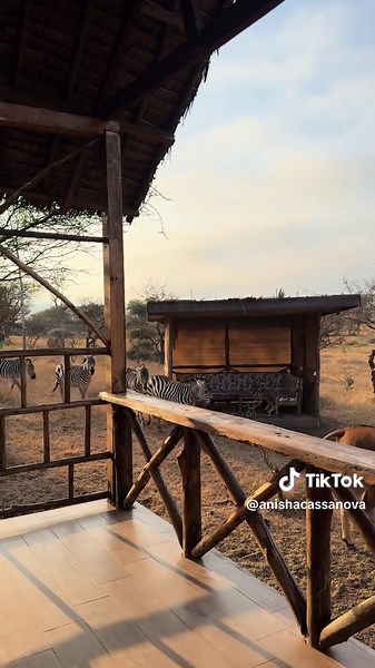 Unforgettable Safari Experience in Tanzania