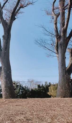 受験生5人組‼️ Fireball踊ってみました🔥#fireballchallenge #fireball #fyp #dance #受験生 #08 #ダンス