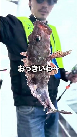 『ヒラメ』に『タコ』とタレント勢揃いのフグ釣り便😂‼️ #釣り船くにうみ丸