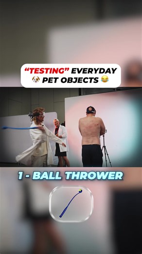 Testing Pet Objects #test #martyandmichael #pet #science | pain testers