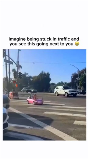 Small Cats on Instagram: "That sloth is literally me IRL 😂 Zootopia is a fun and heartwarming animated movie about a city where animals of all kinds live together. It follows Judy Hopps, a small but brave rabbit who dreams of becoming a police officer. She teams up with a clever fox named Nick Wilde to solve a big mystery. The movie teaches important lessons about friendship, teamwork, and not judging others by their appearance. With colorful animation, humor, and a great story, Zootopia shows