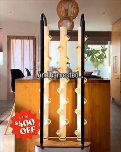 1.7K views |  Give the gift of fresh, homegrown produce! Save up to 45% on Gardyn Devices with code 'CYBER' Grow 100+ plants pesticide-free—ideal for holiday meals or a sustainable gift. | Gardyn | Facebook