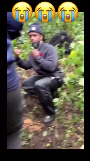 DENPE9 على TikTok