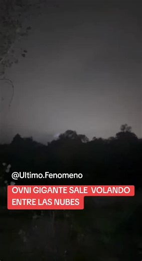 Ubicación: Desconocida Fecha: Desconocida Compartido por: X Files Group En el video se puede ver cómo una luz enorme se posa sobre el bosque. Luego de un rato sale volando en dirección opuesta a la de los que graban desapareciendo en un instante. #UltimoFenomeno #ovni #ufo #ovnis #ufos #noche #virales #fyp #video #videoviral #ufosky #ufologia #ufosighting #nubes #luz