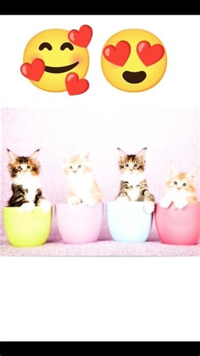 “Cute Kitten Painting | Adorable Cat Artwork for Beginners”#KittenPainting #CuteCatArt#asmrvideo