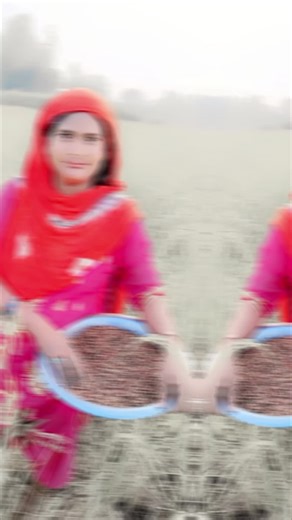 Traditional Farming Practices in Rural Agriculture