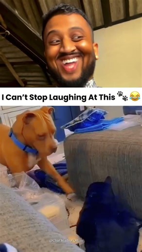 Try Not To Laugh 😂 | Funniest Pet Fails Compilation #shorts #petfails