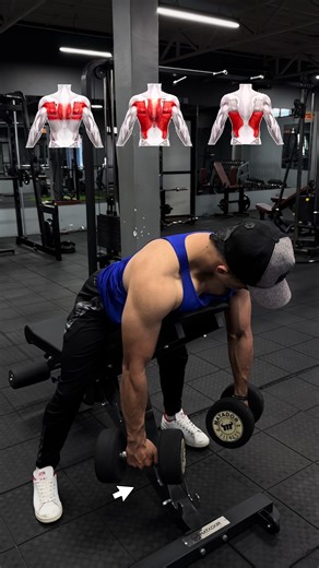 Chest Supported Dumbbell Row: Effective Form Guide