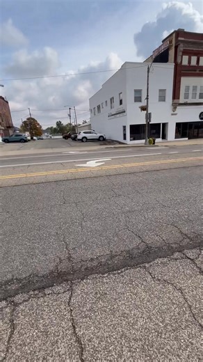 Showing up for Democracy! | Ann Bartman