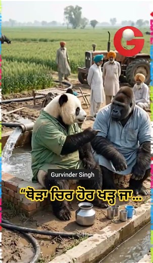 Gorilla and Panda funny part 29 | #gurvinder singh I #shoorts #funny #punjabicomedy