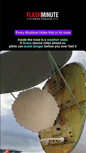 ✈️ This Hidden System Keeps Your Flight Safe