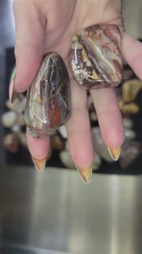 2 Big Pieces of Super Shiny Serape Jasper – Awesome Tumbler Polish!