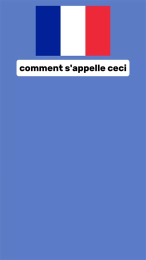 Learn Easy French Join My Whatsapp Channel link in Bio #learnfrench #frenchlanguage #frenchforbeginner #frenchwords #frenchlesson