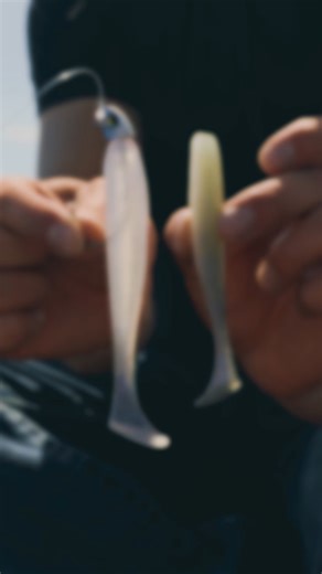 A new addition to the Divine Swimbait collection is coming VERY soon. Keep an eye out... #6thsense #6thsensefishing #divineswimbait | 6th Sense Fishing