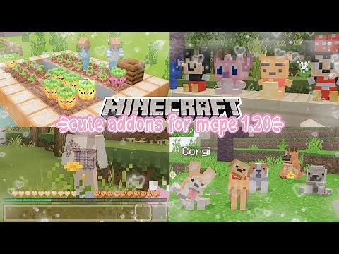 ꒰ 4 cute and adorable addons 🥕🐶🍭 ꒱ super cute addons for Minecraft PE 1.20 ｡⁠*⁠♡:⁠彡