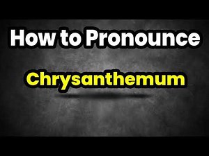 How To Pronounce Chrysanthemum? (CORRECTLY) Meaning & Pronunciation