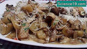 Τα πειράματα δίκαιης επιστήμης των εύκολων παιδιών για τα μικρόβια 💫 Επιστημονική Και Δημοφιλή Ιστοσελίδα Πολυμέσων. 2025