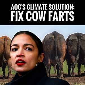SERIOUSLY?! In An Effort To Curb Global Warming, Alexandria Ocasio-Cortez Tackles Cow Flatulence... | Turning Point USA