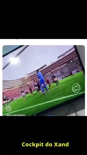 Esse torcedor não pode mais colocar a camisa do Flamengo durante o jogo! #flamengo #futebol