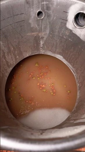 L'inoculazione dei lieviti per la prima fermentazione