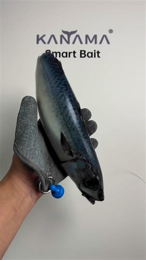 4.6K reactions · 263 shares |  Kanama Smart Bait - Revive dead bait fish and catch big fish easily.. . www.kanama.net . #kanama #smartbait #釣り #fishing #angler #fisherman #pesca | Kanama | Facebook