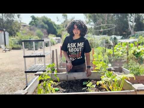 Save Soil SDSU - Soil Health and the Soil Crisis