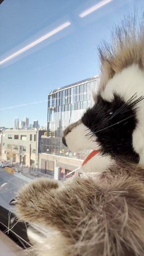 Some of the most see spots to photograph at Central Library. #librarytiktok #library #librarytok #lapl #lapubliclibrary #losangelespubliclibrary #digitalcamera #centrallibrary